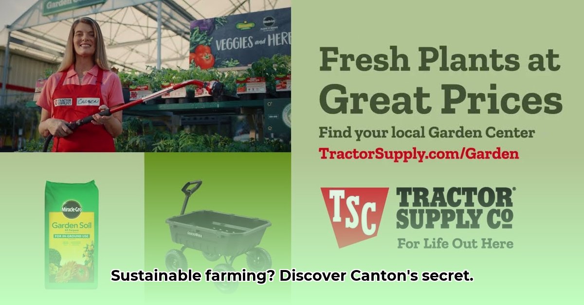 tractor-supply-canton-mississippi